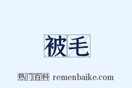 被毛是什么意思的图片